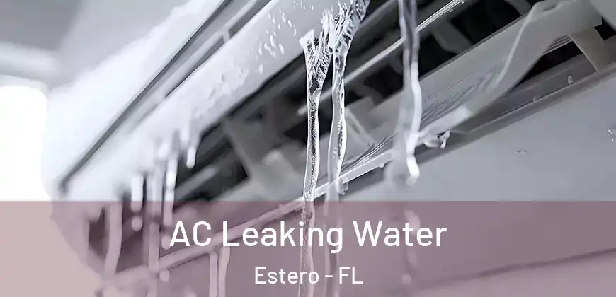  AC Leaking Water Estero - FL