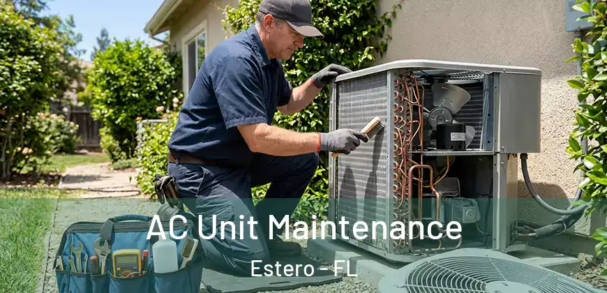  AC Unit Maintenance Estero - FL