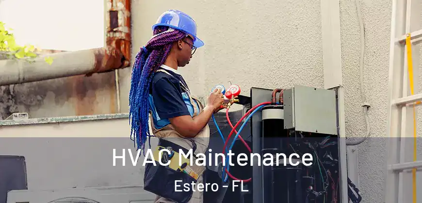 HVAC Maintenance Estero - FL